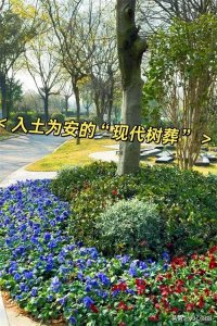 ​很多老人离世之后，不愿意让后代买墓地？多半有以下“顾虑”