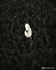 ​赚钱快的冷门小生意