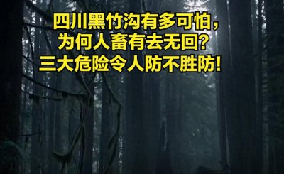 ​三大危险令人防不胜防？四川黑竹沟有多可怕，为何人畜有去无回？