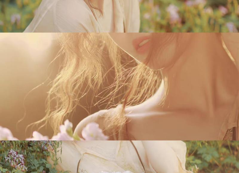 白固研是什么药，解析白固研的功效与作用