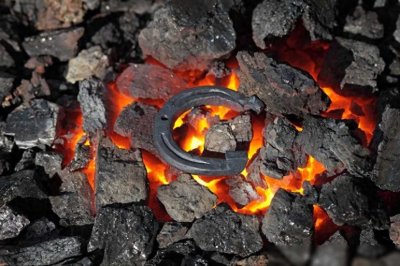 ​马蹄铁的神奇力量：为何野外马儿却不需要马蹄铁的支持？