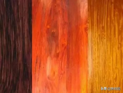 ​酸枝是什么木头？哪些才是真正的酸枝？