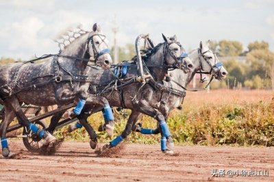 ​拉动经济的三驾马车究竟是什么？