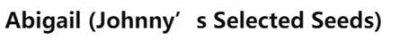 ​「国际」收藏！番茄种品种推介大汇总