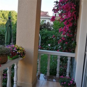 ​宁波老外滩的前世今生，家门口的风景其实很美，何必去远方寻美景