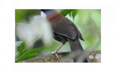 ​关于友情的精彩开头(关于友情的开头，结尾)