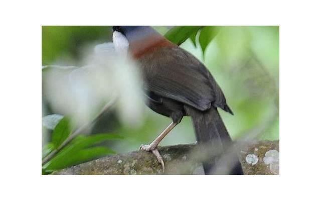 关于友情的精彩开头(关于友情的开头，结尾)