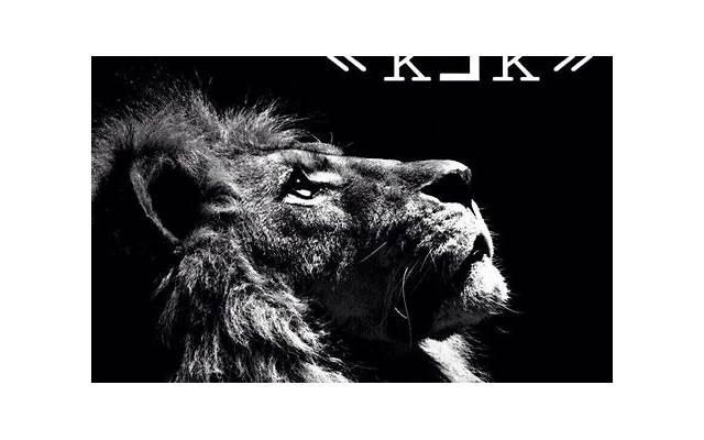 善良的丈母娘(温柔的丈母娘)