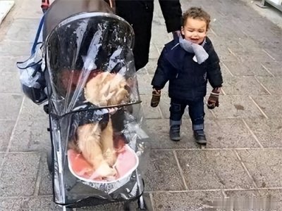 ​太幽默了，58张搞笑动图：上厕所看到这个，我哭了。