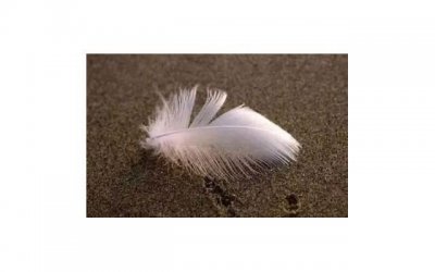 ​想明白看清楚经典语录(时间长看清楚一个人的经典语录)