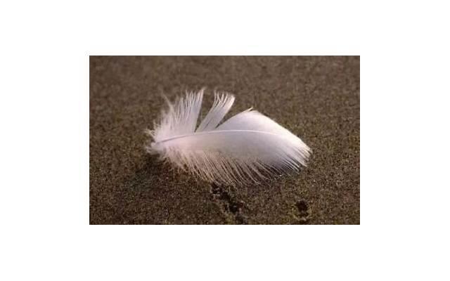 想明白看清楚经典语录(时间长看清楚一个人的经典语录) 想明白看清楚经典语录(时间长看清楚一个人的经典语录)