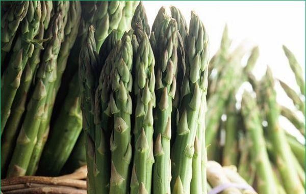 我们平时吃的芦笋是什么东西呢