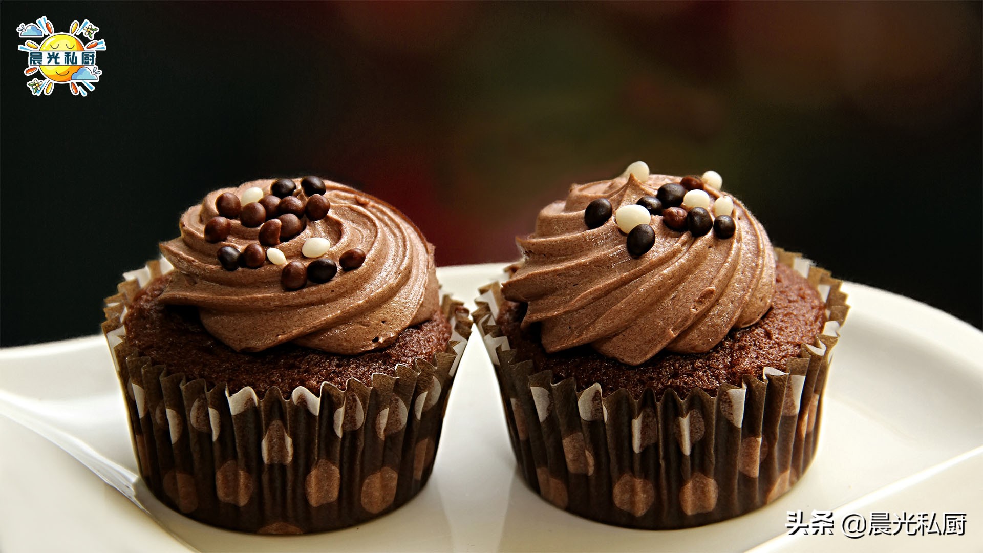 碱化可可粉和天然可可粉的区别(黑炭可可粉的小知识分享)