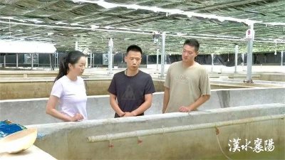 ​板桥店镇：大棚养鱼 拓宽致富路