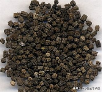 ​每日一中药——蚕沙