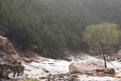​泰山彩石溪：泉水奏响春日序章 百花争艳闹人间