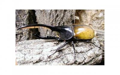 ​测试你会怎样死去