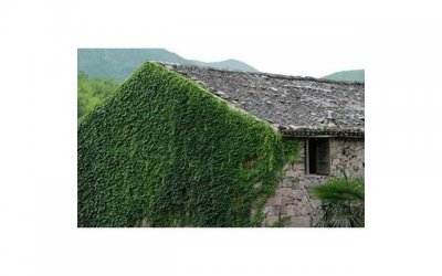 ​年轻人把自己当渣女的表现