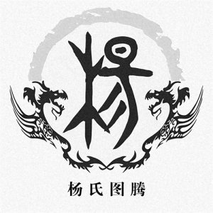 ​百家姓—杨姓:中国传统姓氏的璀璨瑰宝